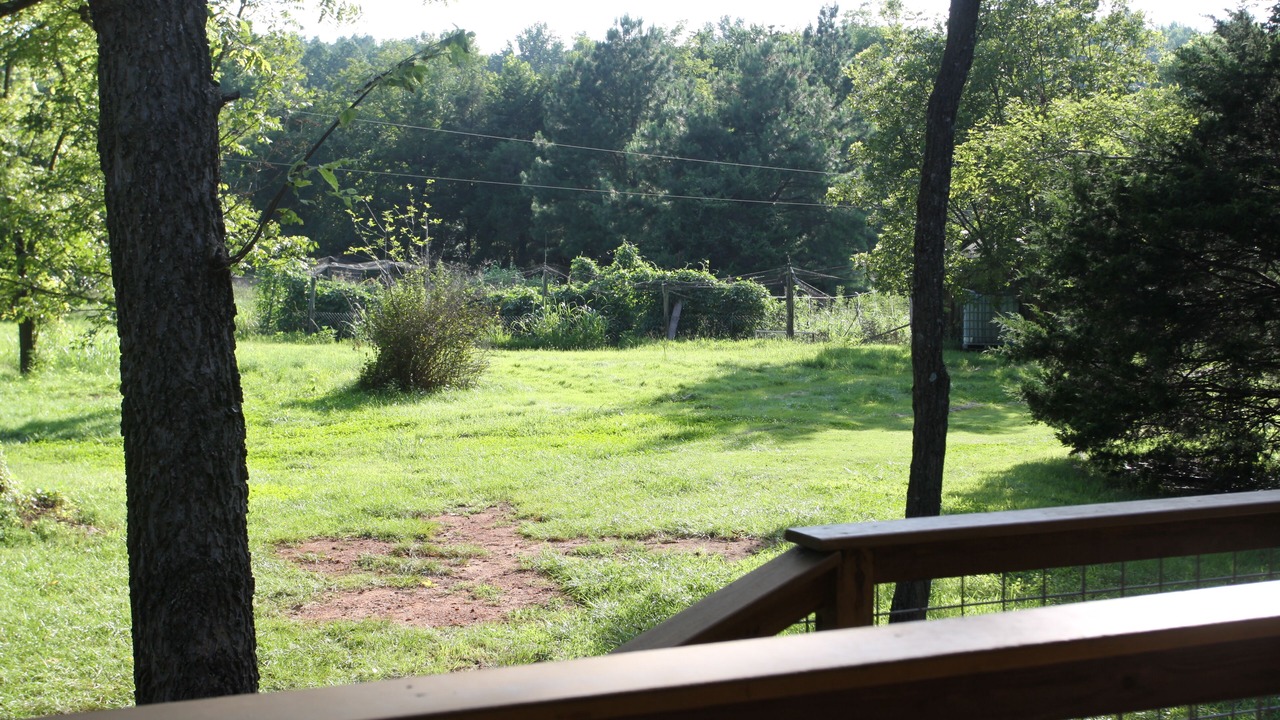 Photo of Outdoor in Buckingham