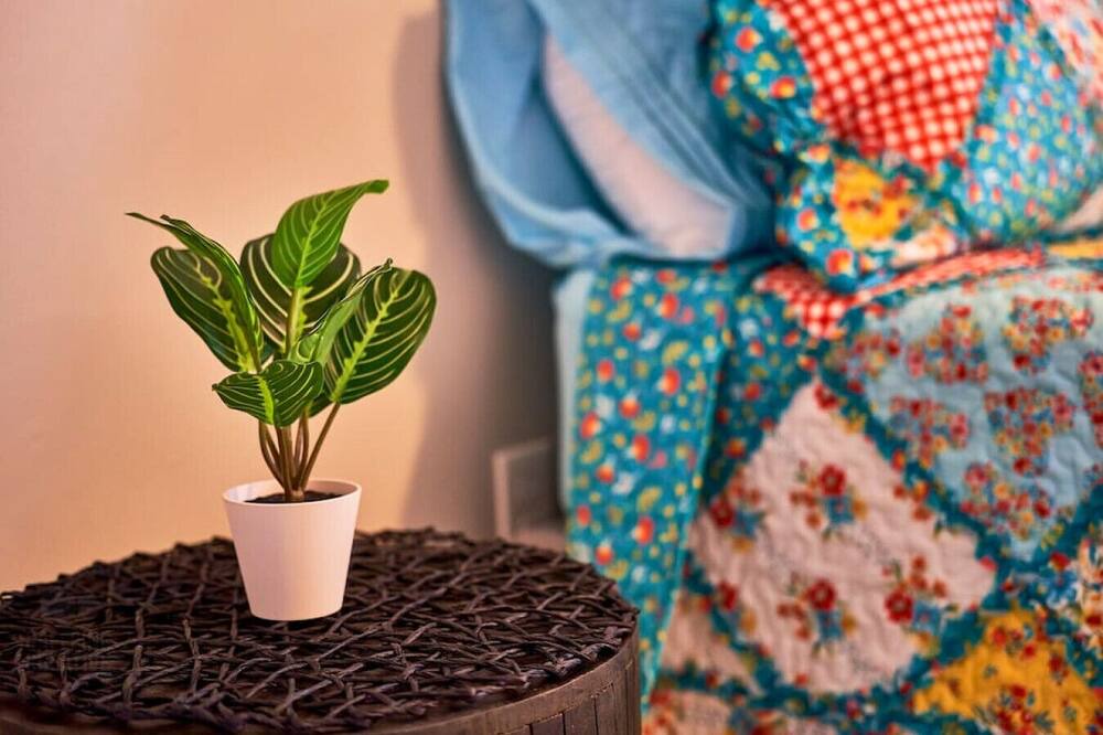 Photo of Others in Westbrook