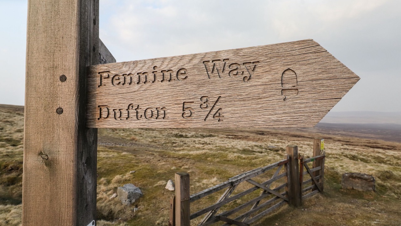 Photo of Others in Knock