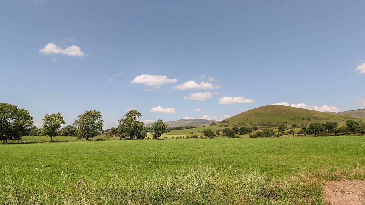 Photo of Others in Knock