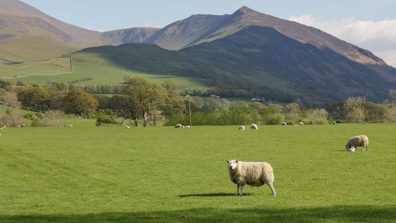 Photo of Others in Keswick