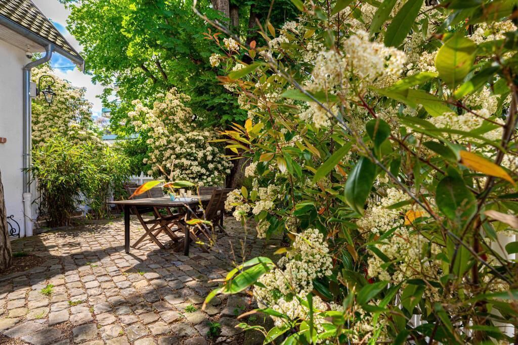 Photo of Outdoor in Meudon