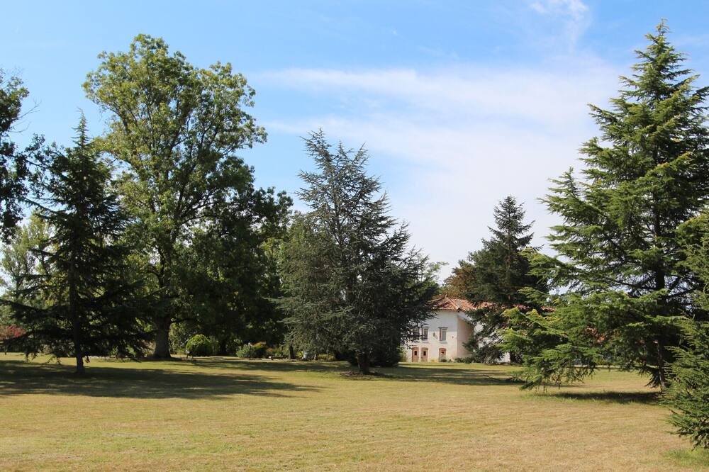 Photo of Outdoor in Montans