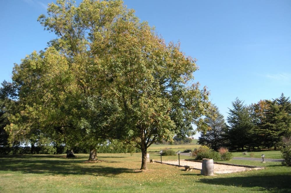 Photo of Outdoor in Montans