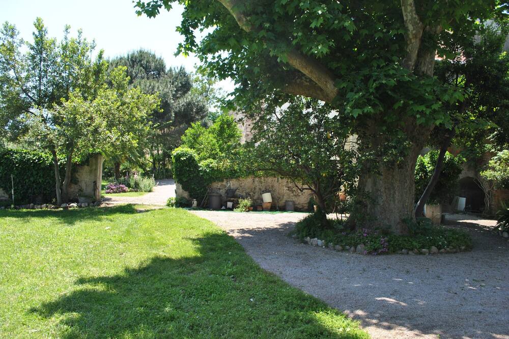 Photo of Outdoor in Palau-del-Vidre