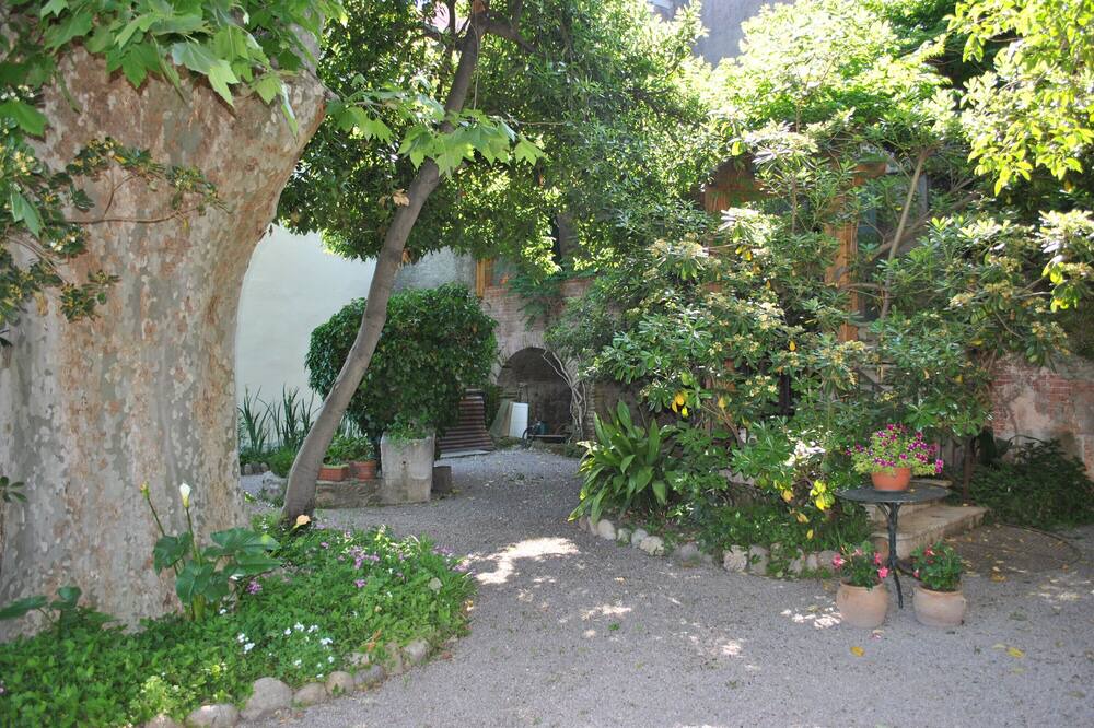 Photo of Outdoor in Palau-del-Vidre