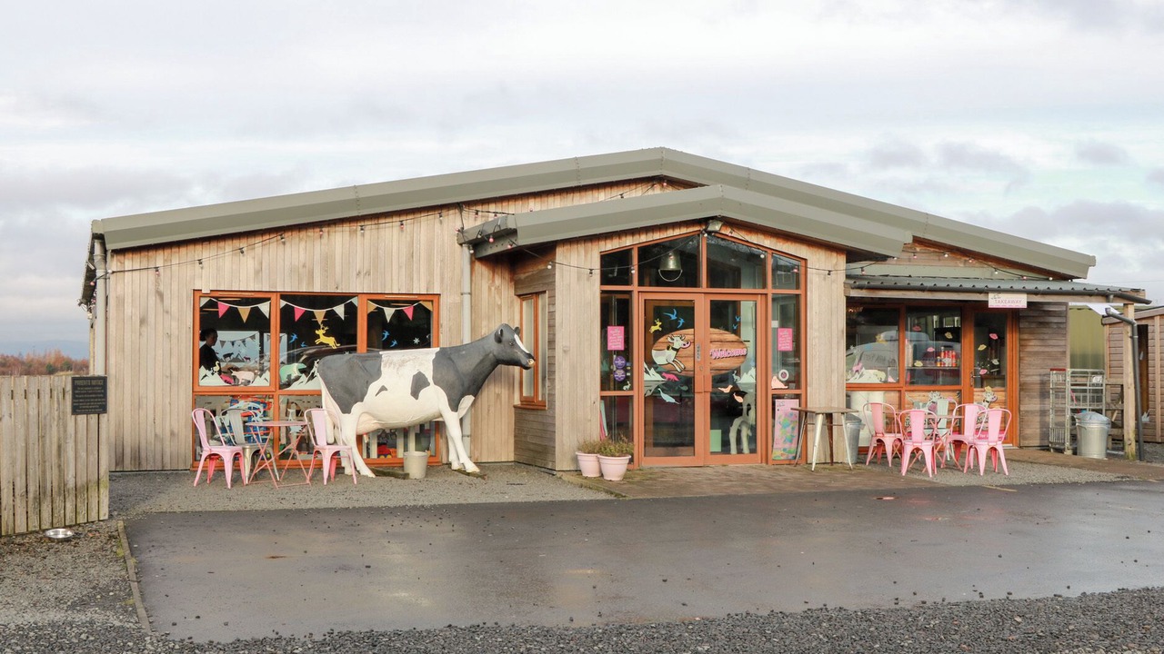 Photo of Others in Falkirk