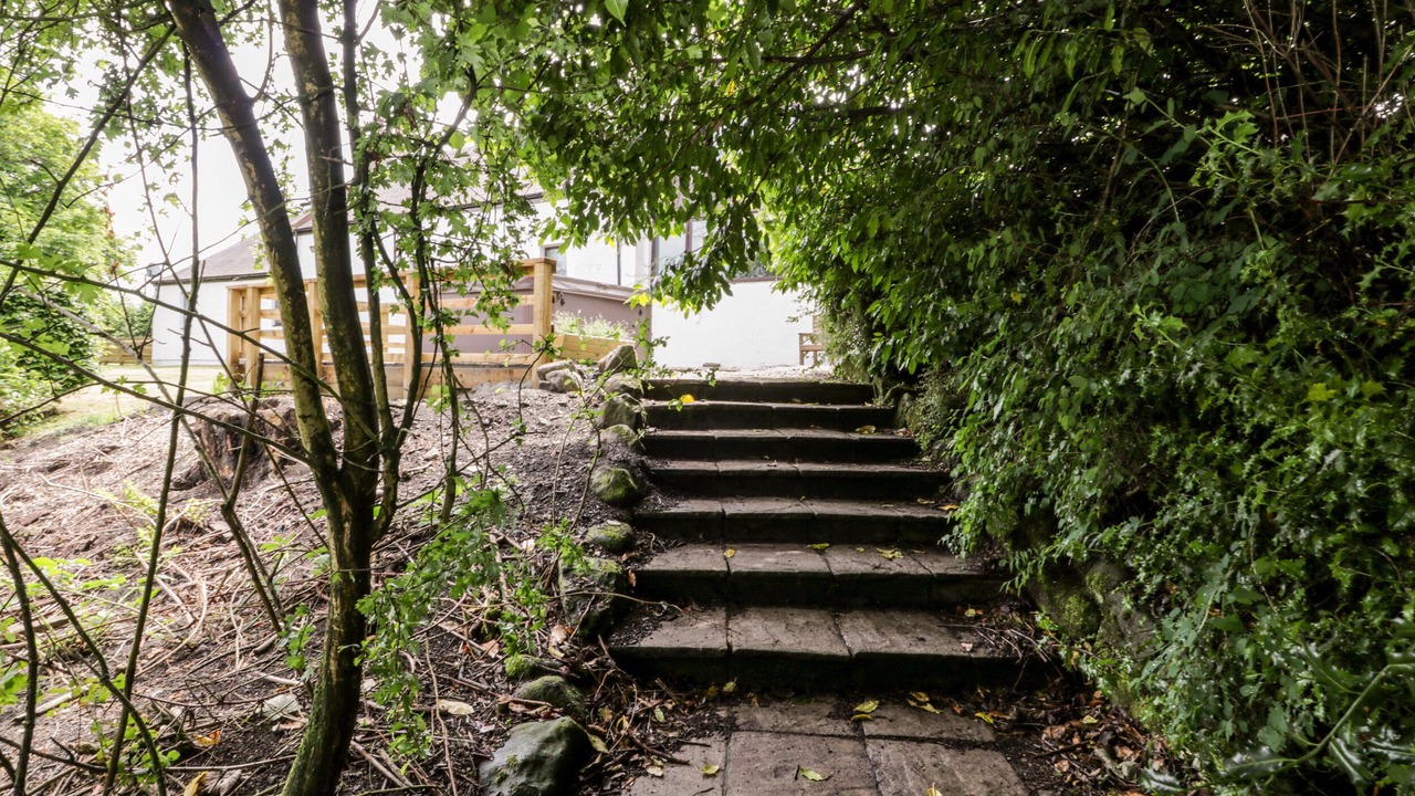 Photo of Others in Falkirk