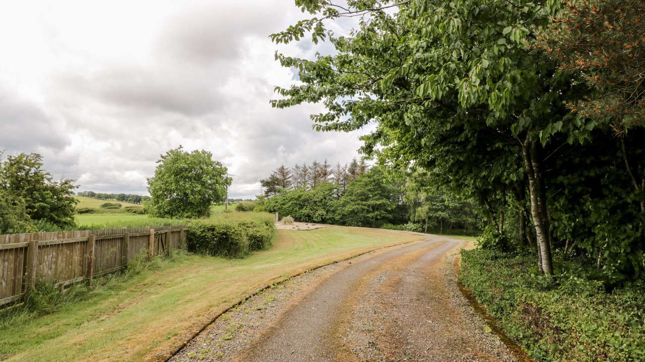 Photo of Others in Falkirk