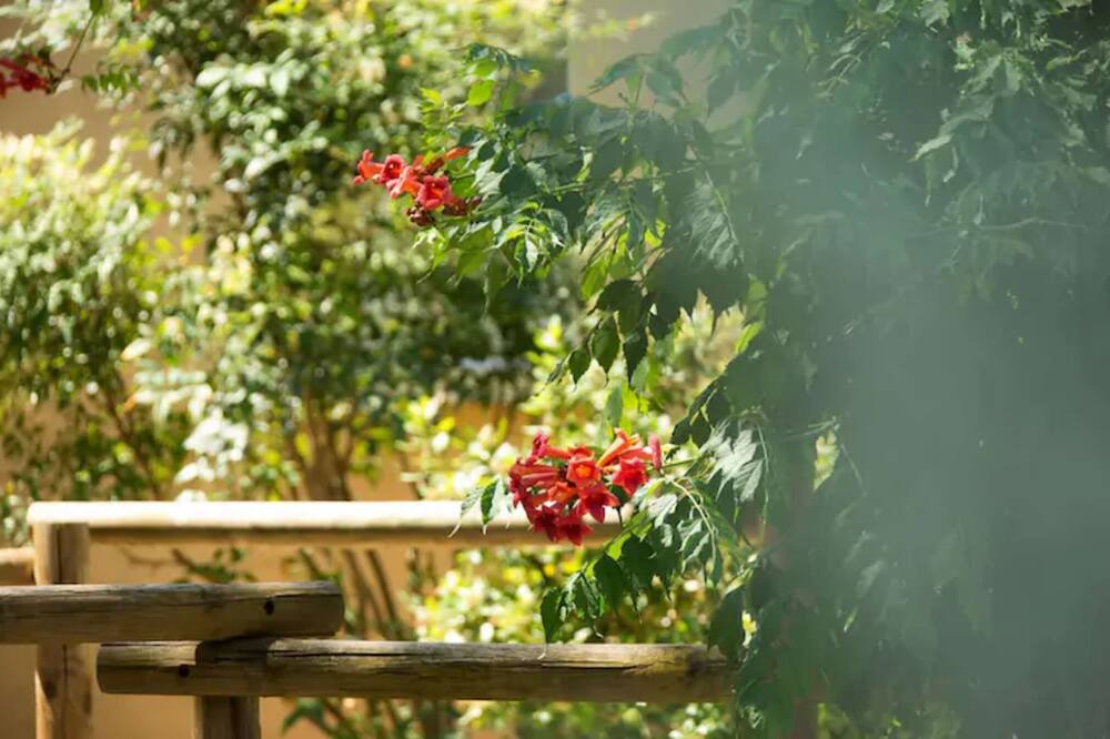 Photo of Outdoor in Aubais