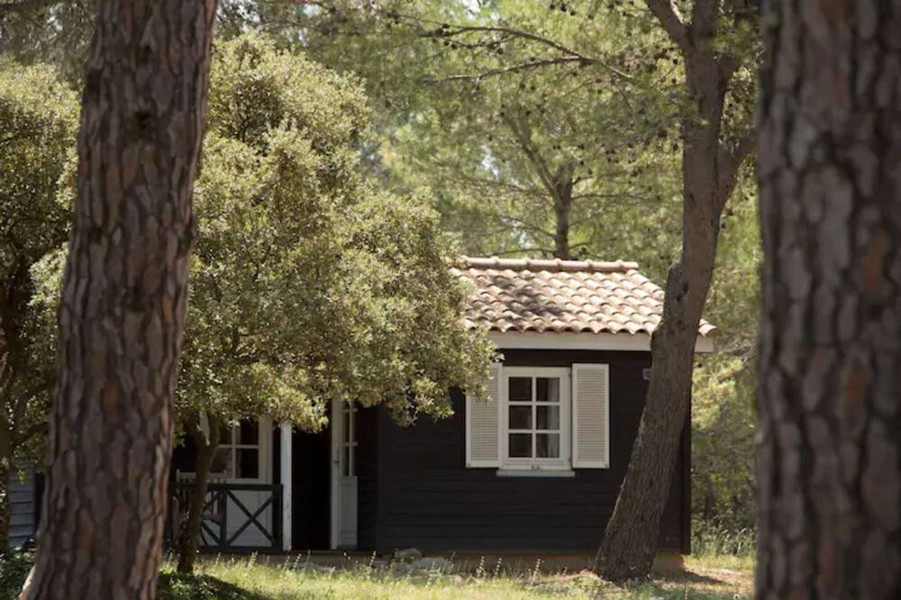 Photo of Outdoor in Aubais