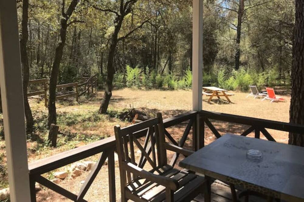 Photo of Outdoor in Aubais