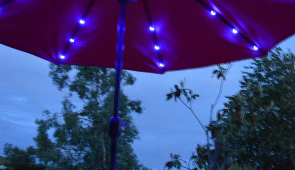 Photo of Outdoor in Puymaurin