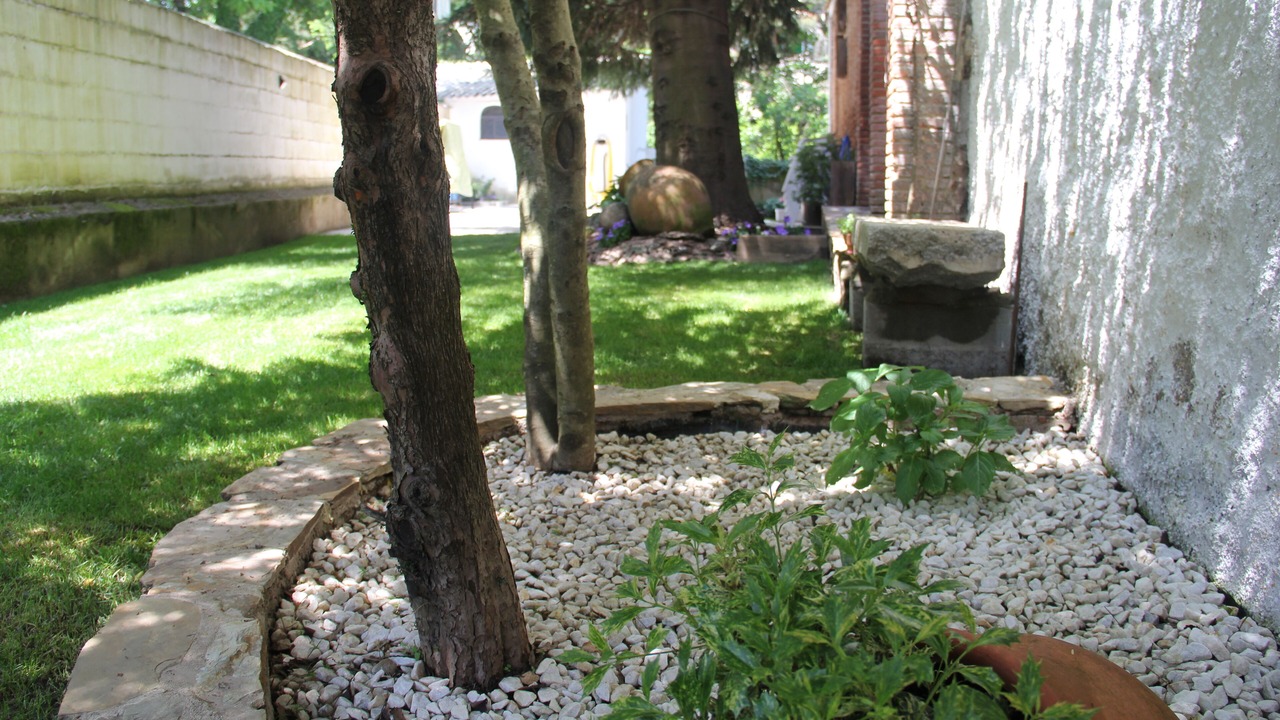 Photo of Outdoor in San Rafael
