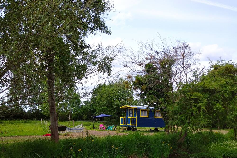 Photo of Outdoor in Le Vieil-Bauge