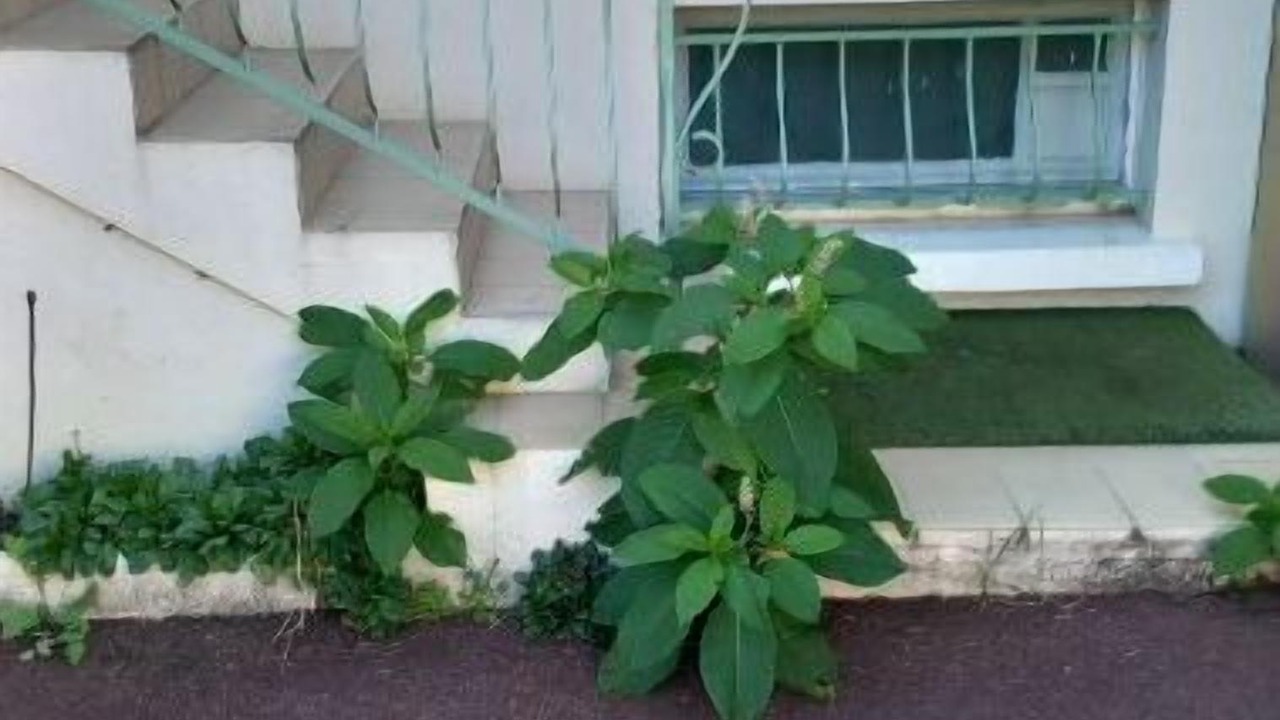 Photo of Outdoor in Chatellerault