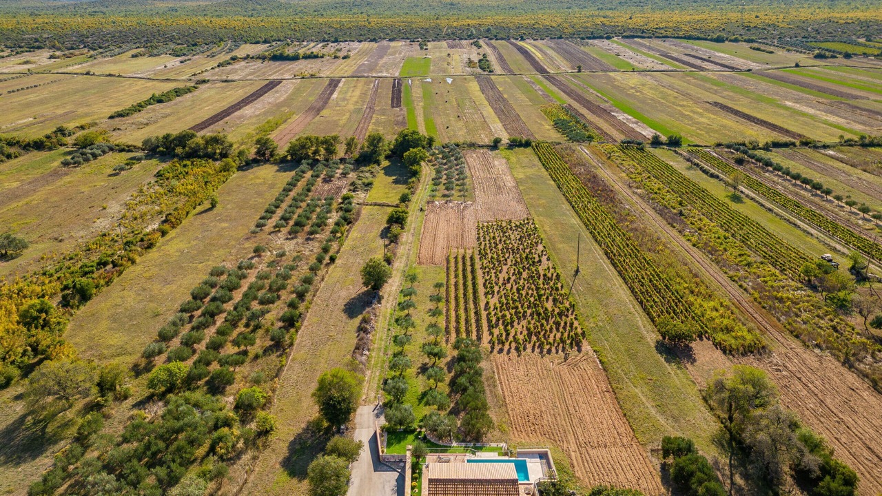 Photo of Outdoor in Stankovci