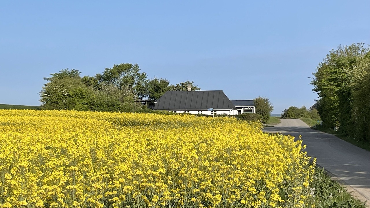 Photo of Outdoor in Nykobing Mors