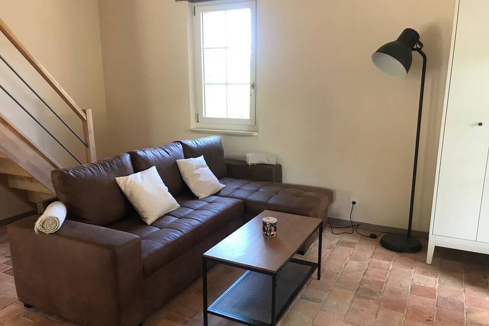 Photo of Livingroom in Lacaugne