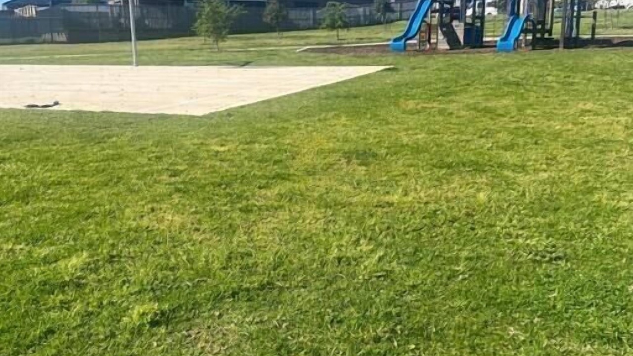 Photo of Others in Clifton Springs