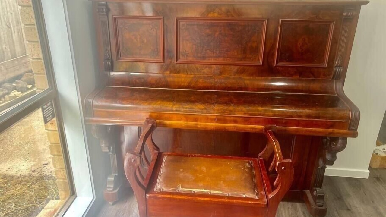 Photo of Others in Clifton Springs