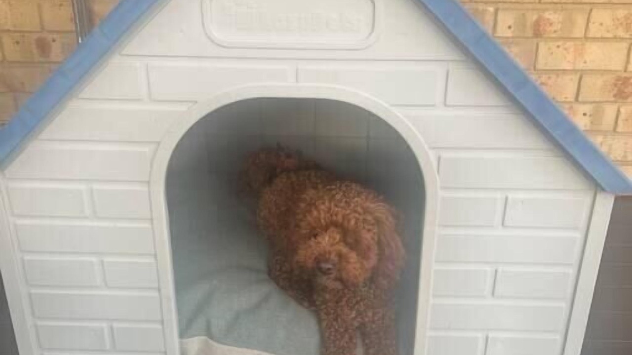 Photo of Outdoor in Clifton Springs