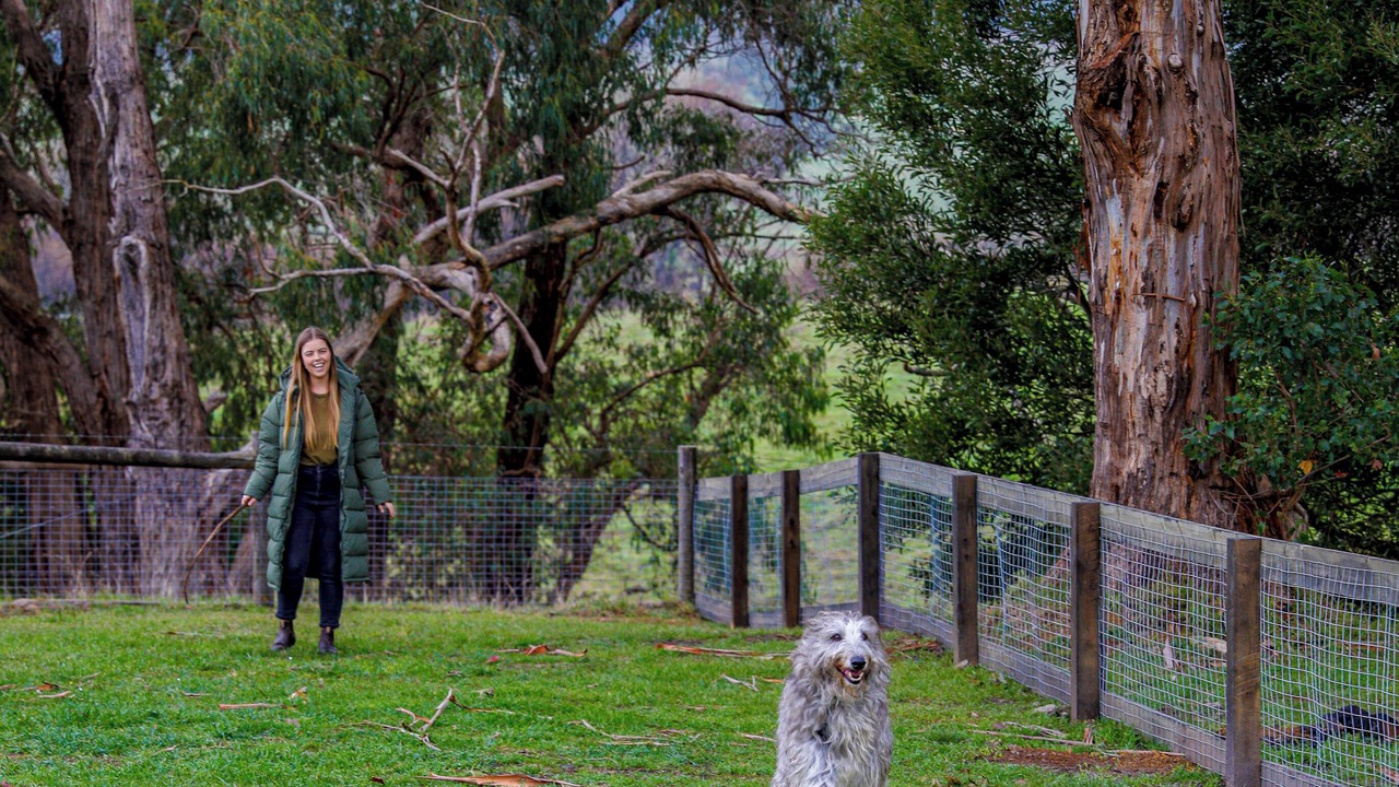 Photo of Others in Forrest