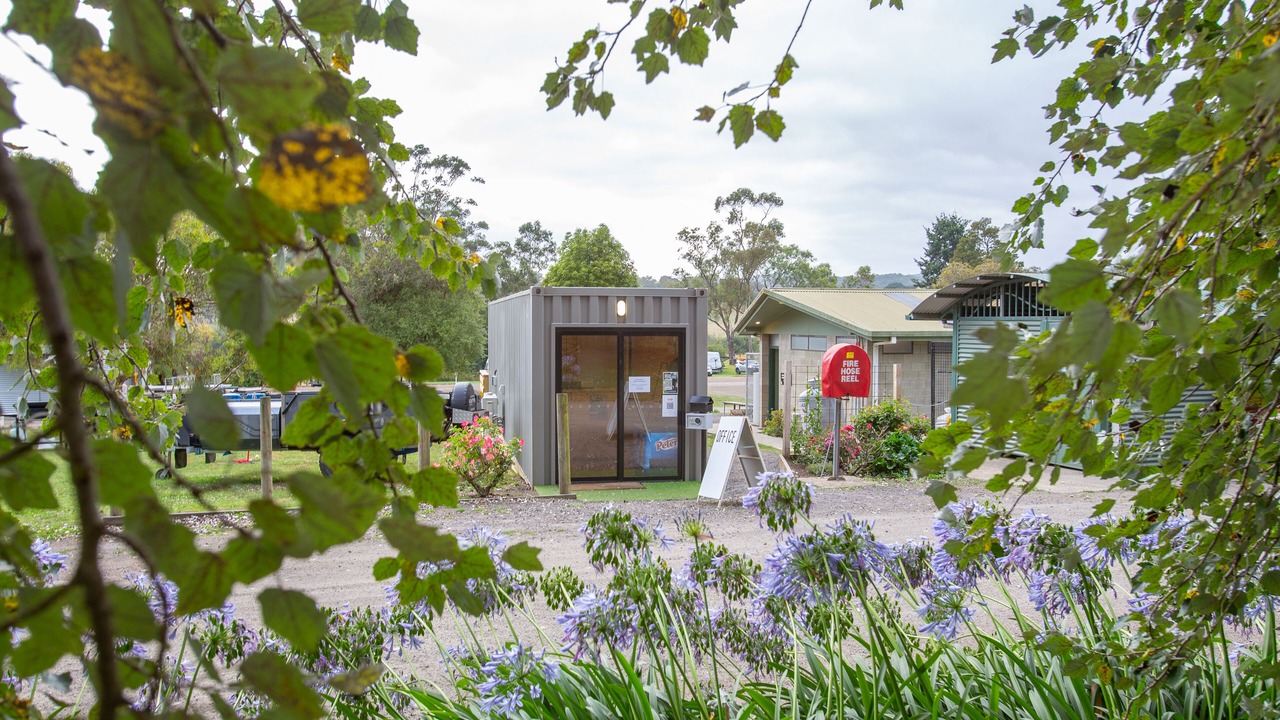 Photo of Outdoor in Forrest