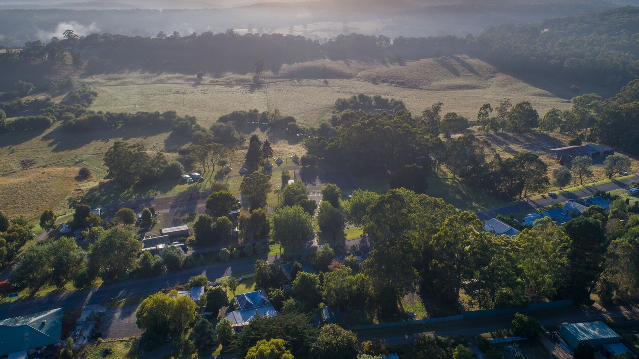 Photo of Outdoor in Forrest