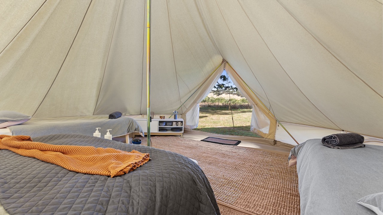 Photo of Others in Forrest