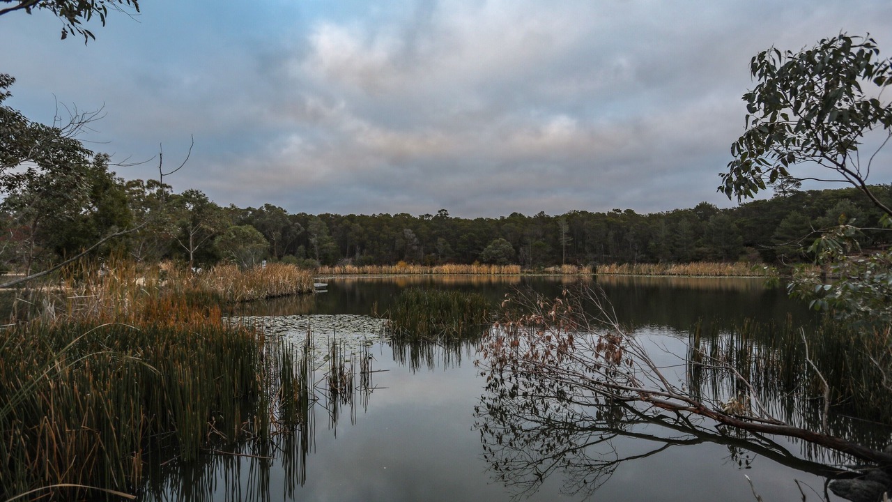 Photo of Outdoor in Creswick