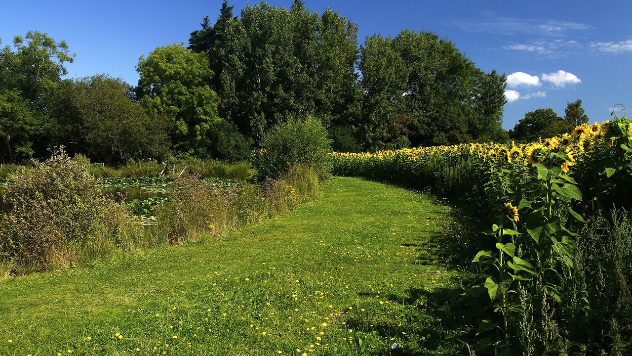 Photo of Outdoor in Teigngrace