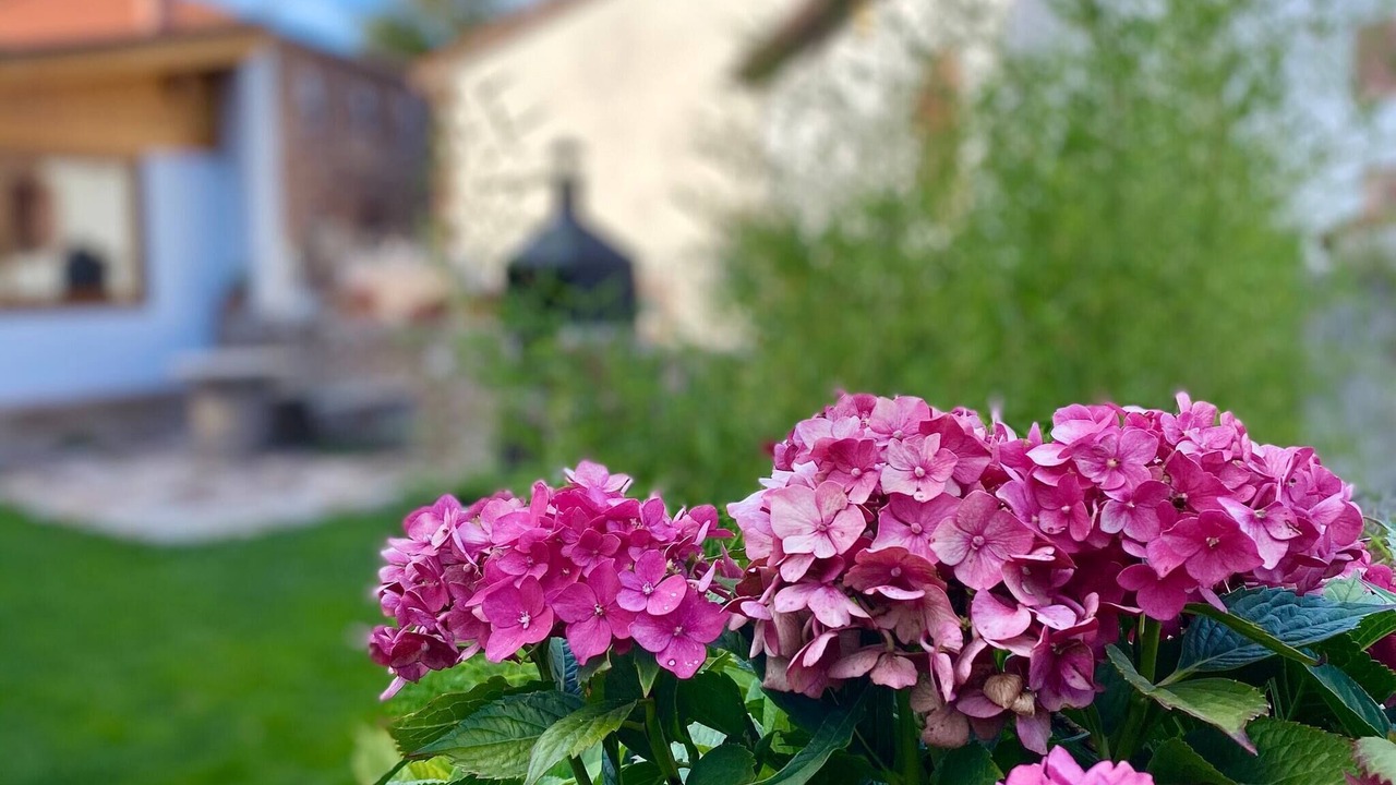 Photo of Outdoor in Salces