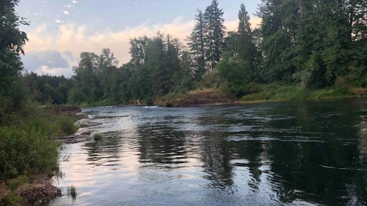 Photo of Others in Walterville