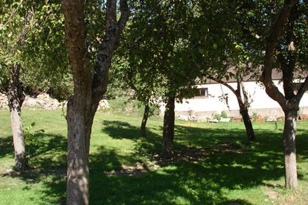 Photo of Outdoor in Auzits
