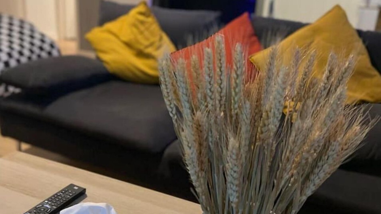 Photo of Livingroom in Montchapet