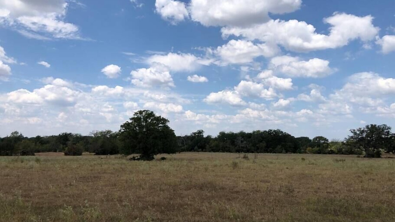 Photo of Others in Bryan