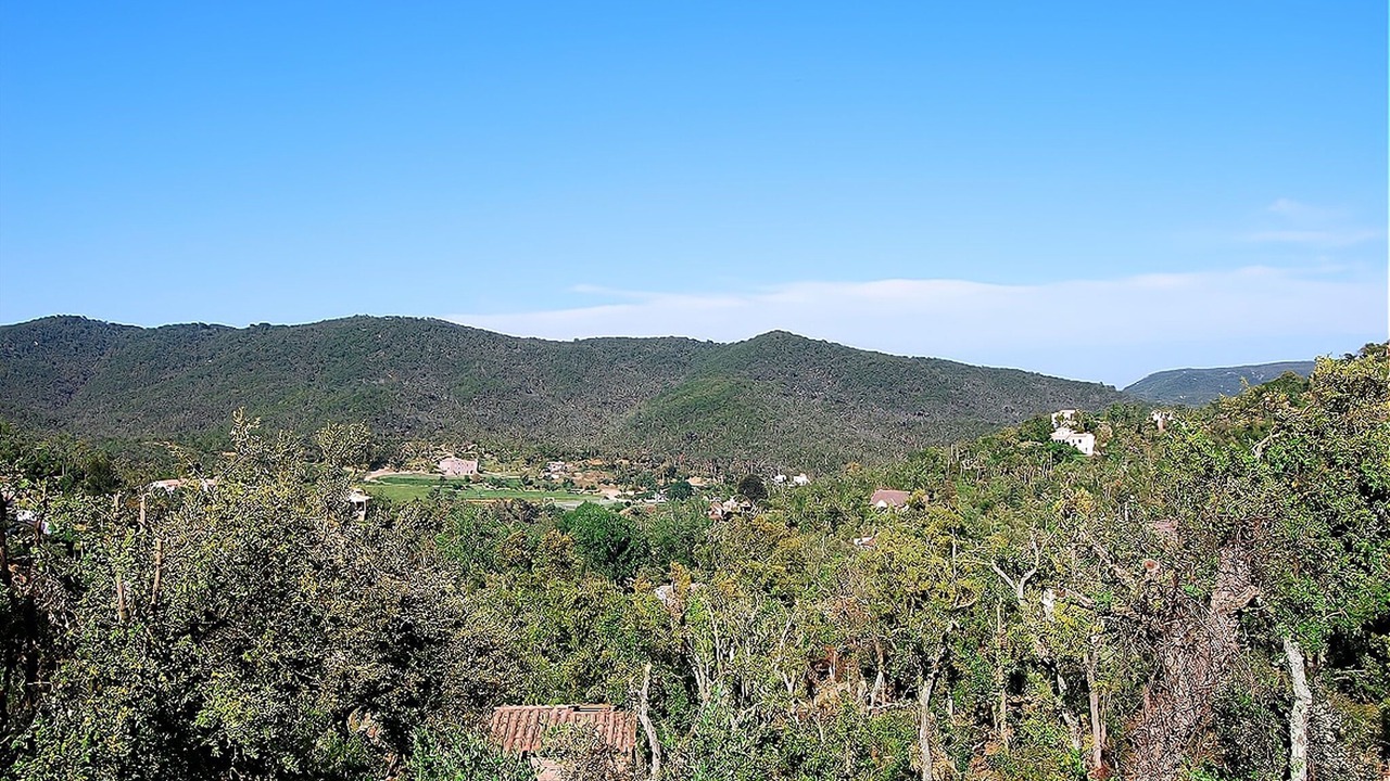Photo of Others in Santa Cristina de Aro