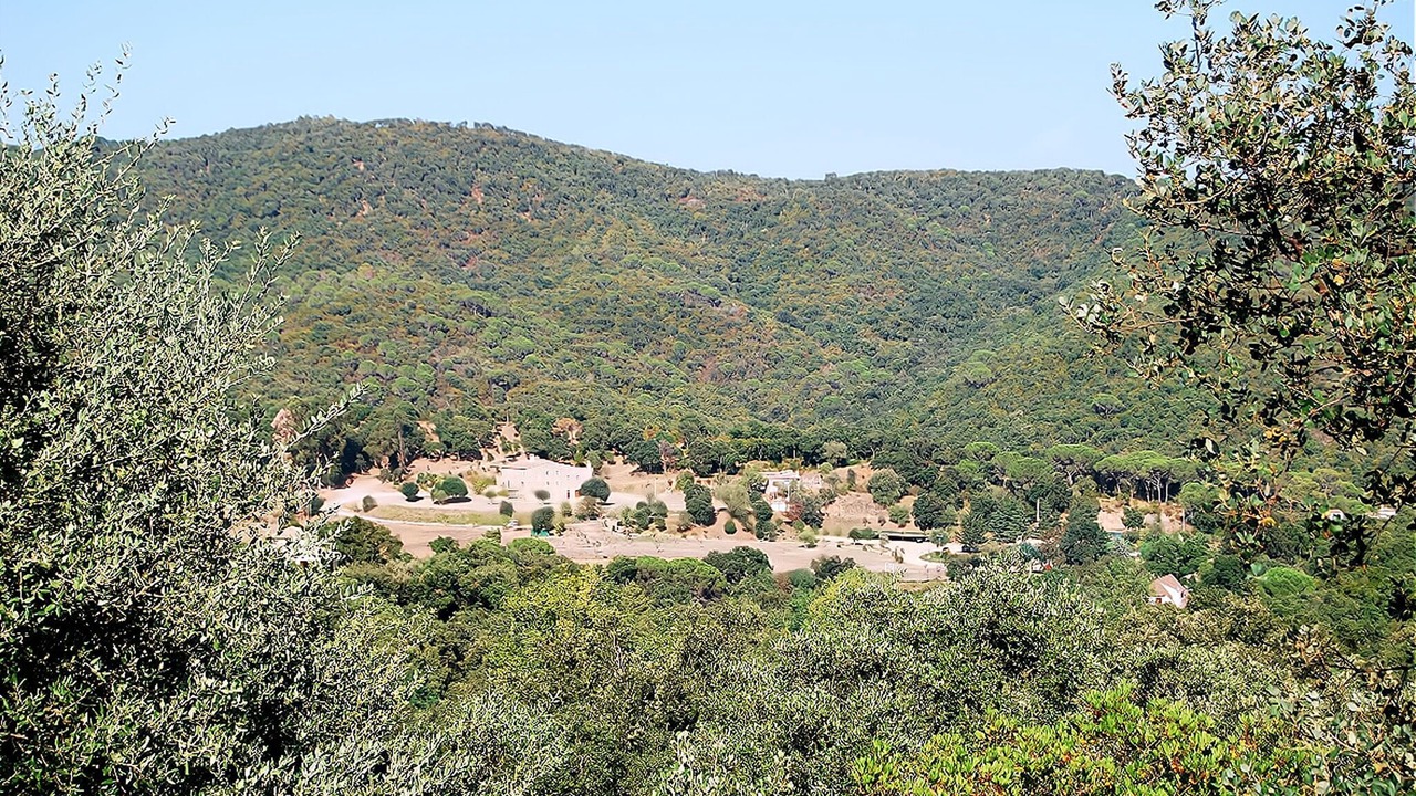 Photo of Outdoor in Santa Cristina de Aro