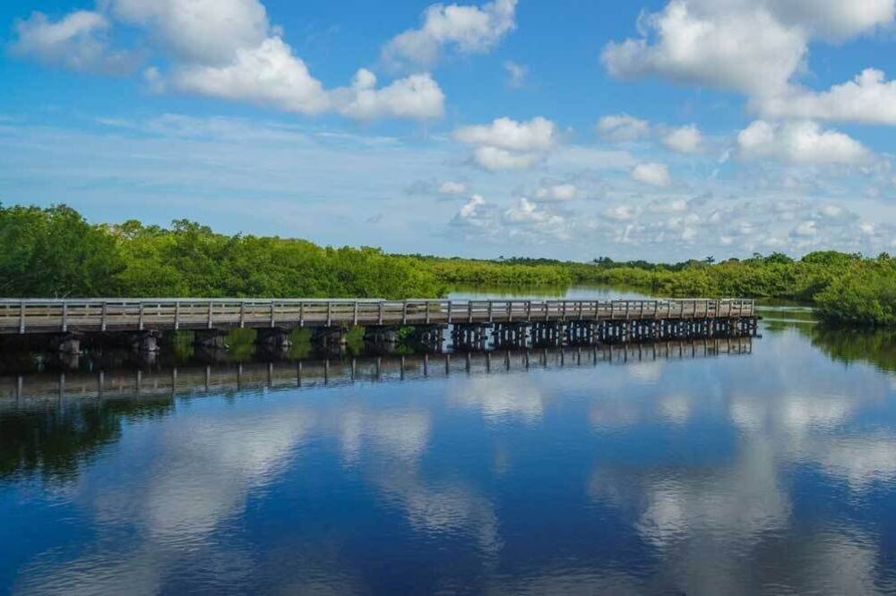 Photo of Others in Punta Gorda