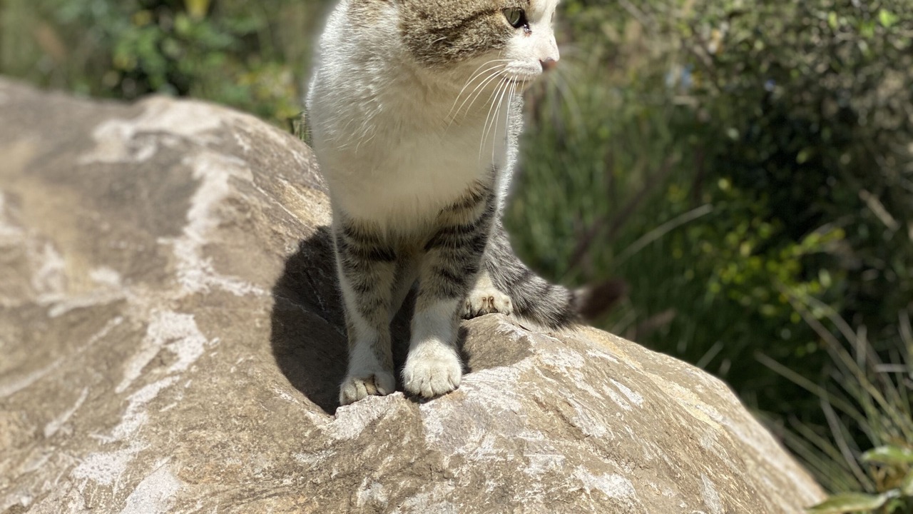 Photo of Outdoor in Valle de Bravo