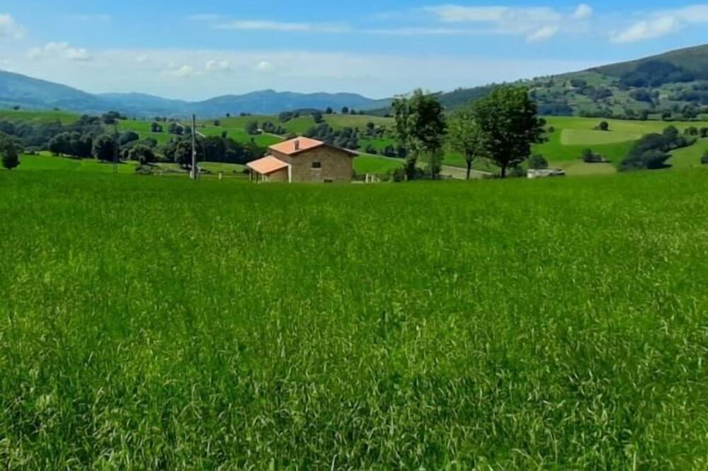 Photo of Outdoor in Selaya