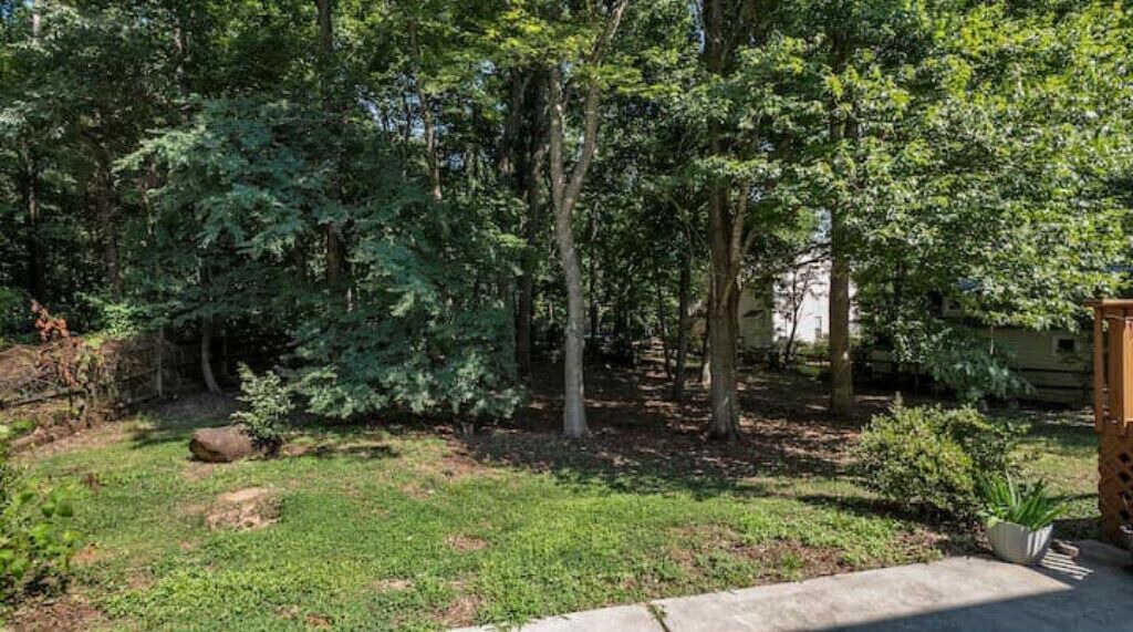 Photo of Outdoor in Matthews
