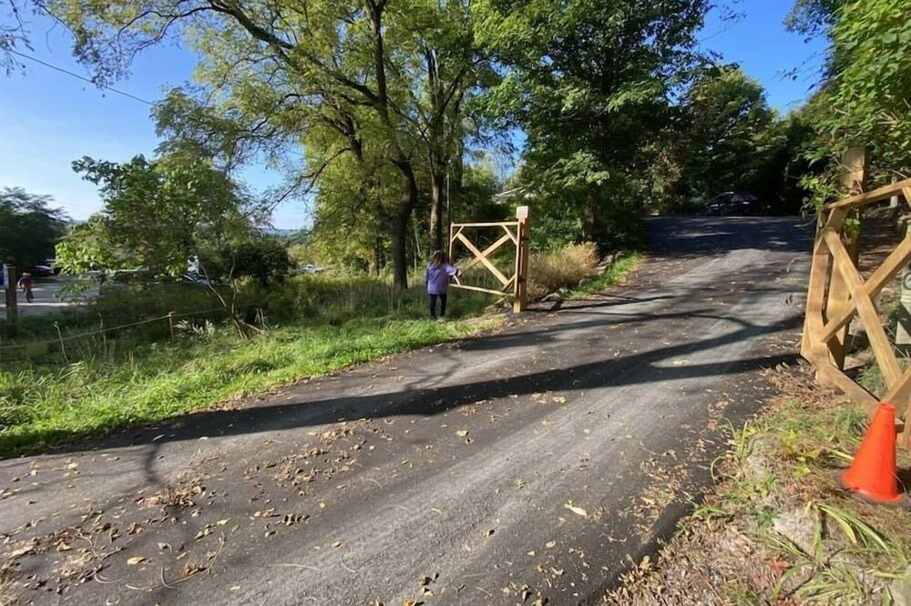 Photo of Others in Hamilton
