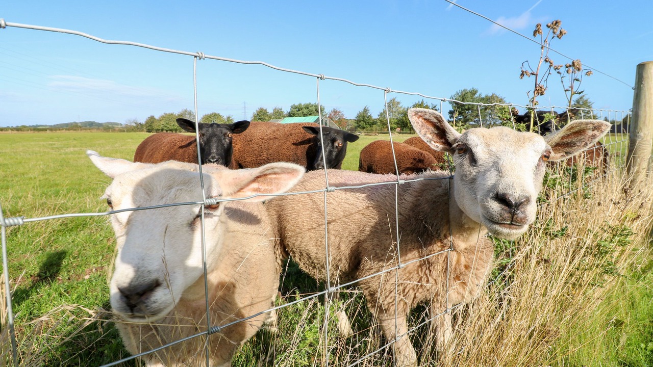 Photo of Others in Rugeley