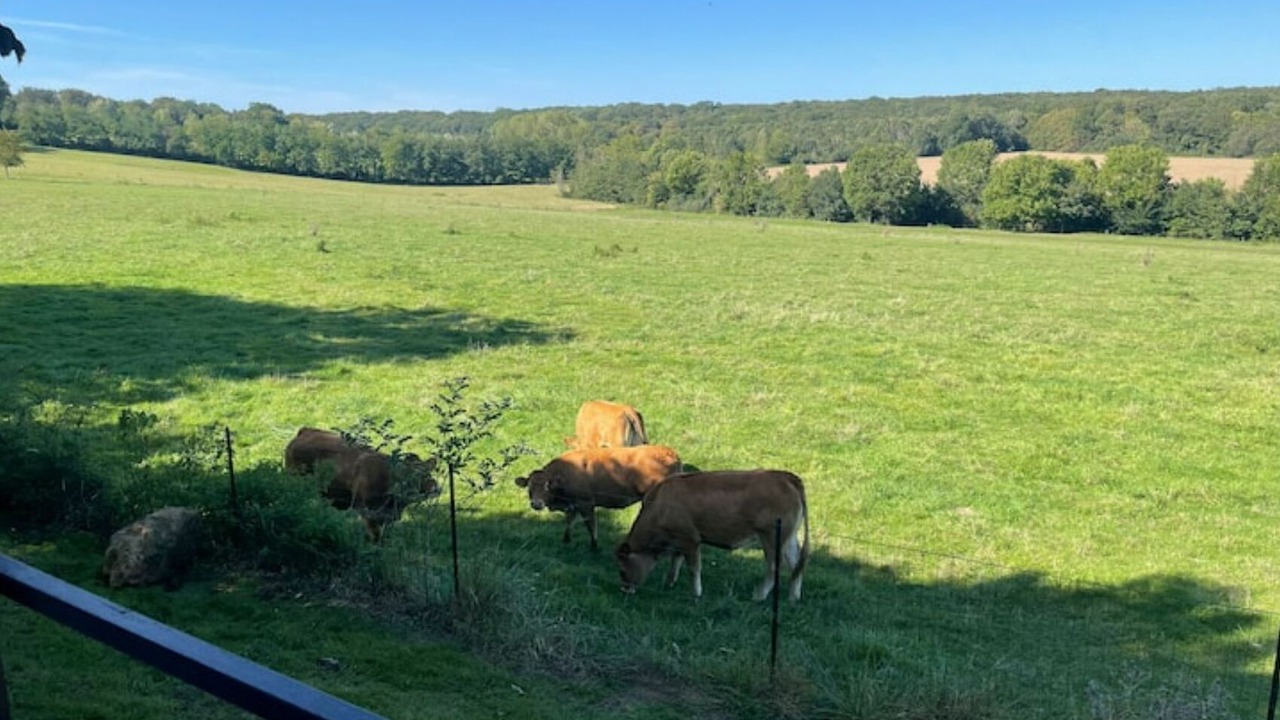 Photo of Outdoor in Maurevert