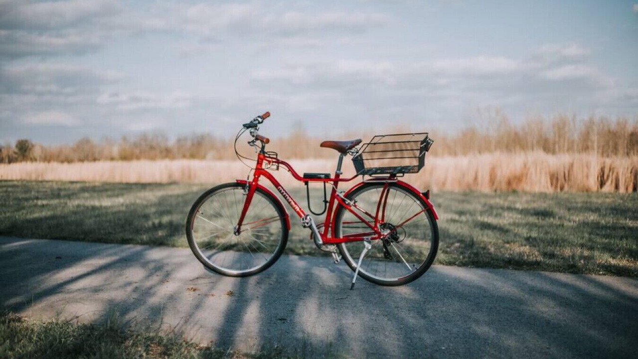 Photo of Others in Sodus