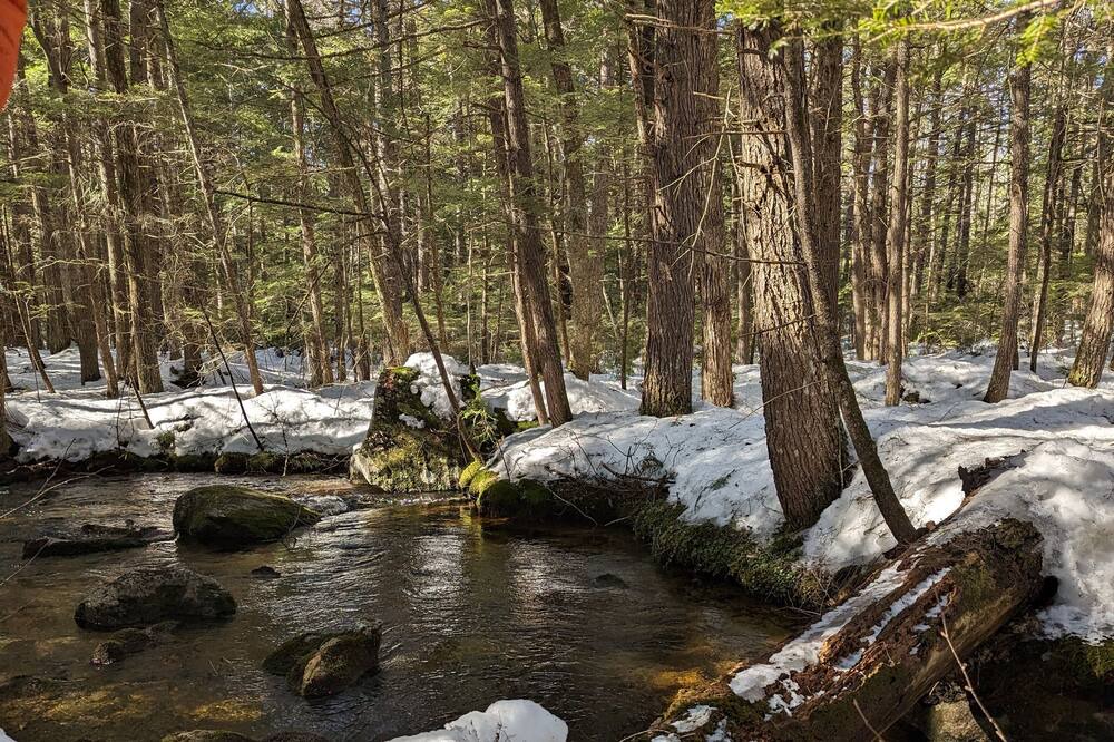 Photo of Outdoor in Wolfeboro