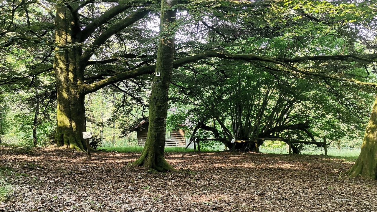 Photo of Outdoor in Moussey
