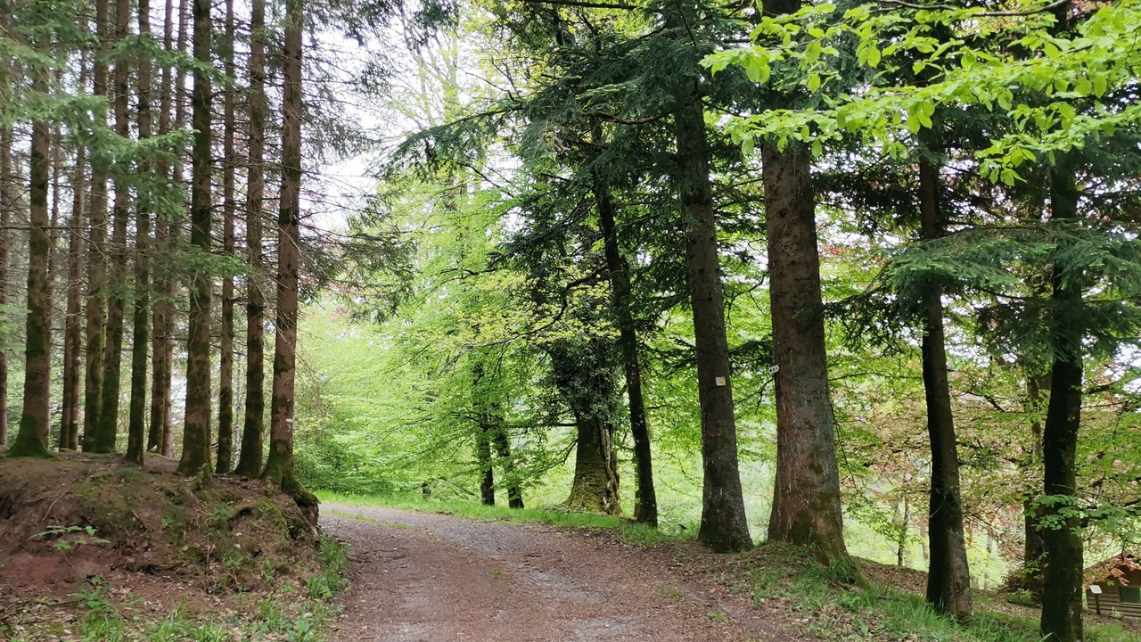Photo of Outdoor in Moussey